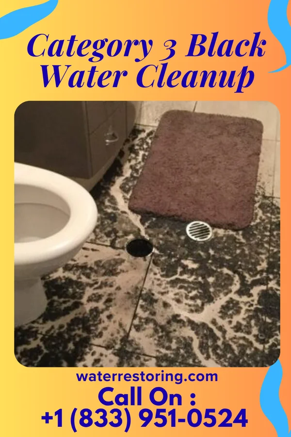 Category 3 Black Water Cleanup in Aztec, NM